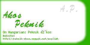 akos peknik business card